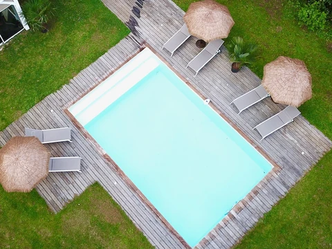 Vue aérienne de la forêt