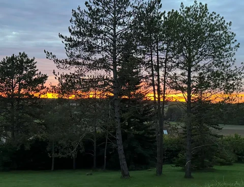 La Forêt — Vue aérienne