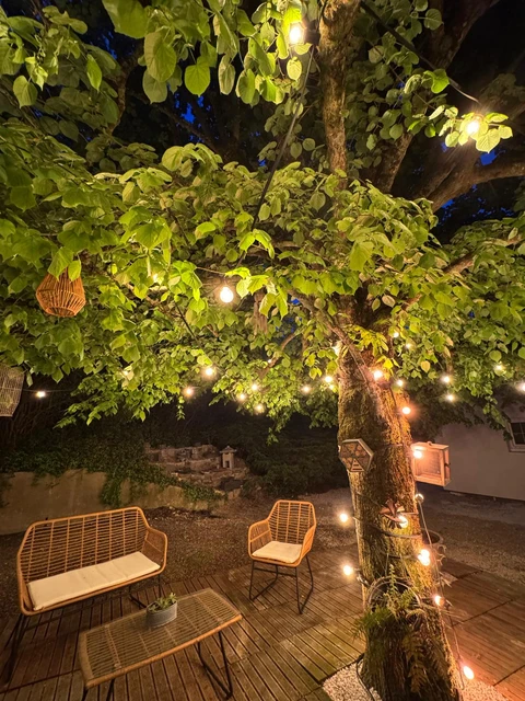 Réception sous les arbres