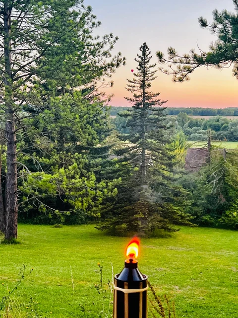 Nature autour du domaine